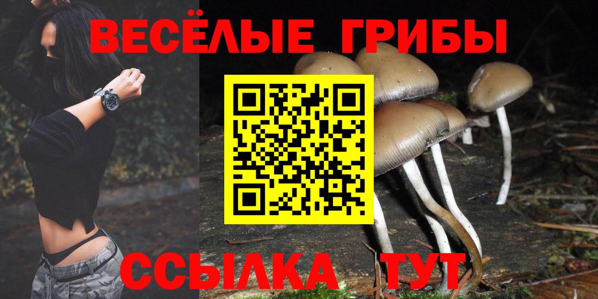 Майкоп  Галлюциногенные грибы мухоморы  Вход с VPN 
