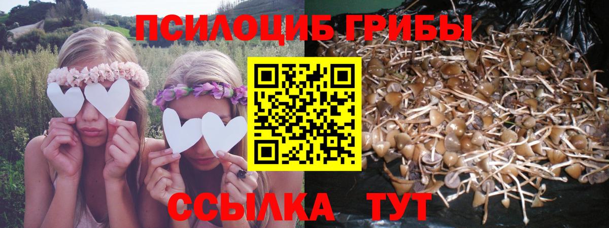 Псилоцибиновые грибы мухоморы Майкоп